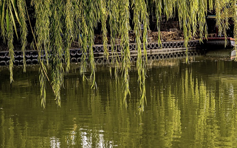 手机游拍20241112《73》