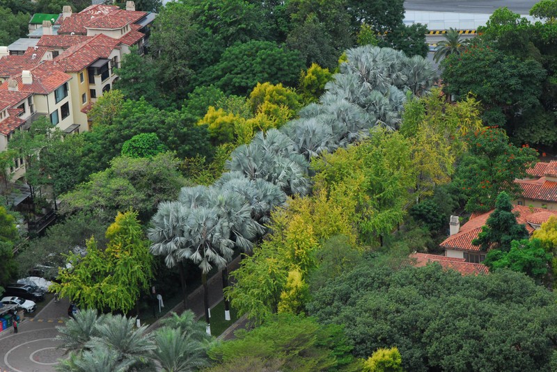 尼康D200还能战吗