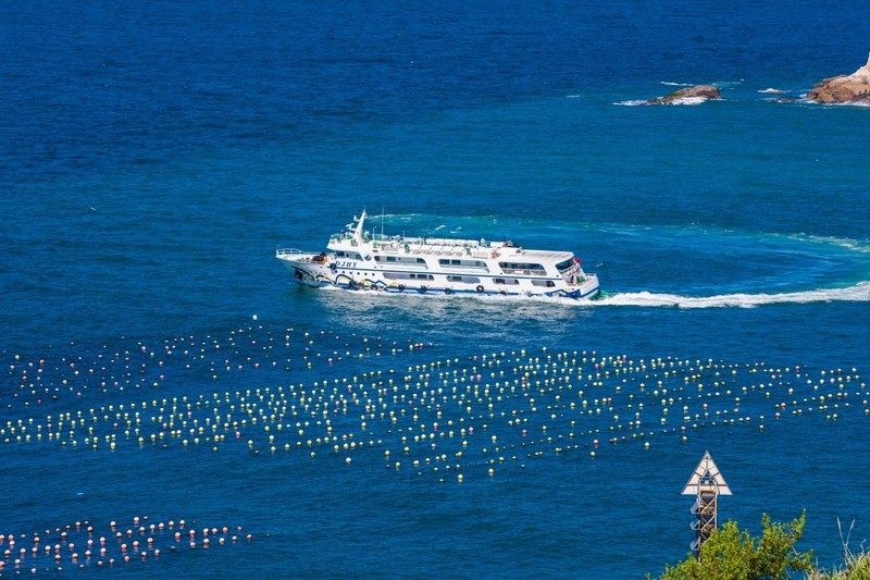 外出随拍（597）.