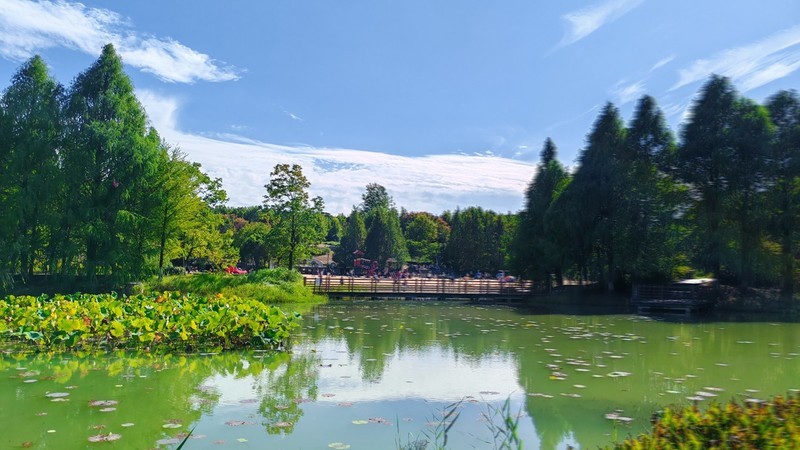 神山之秋
