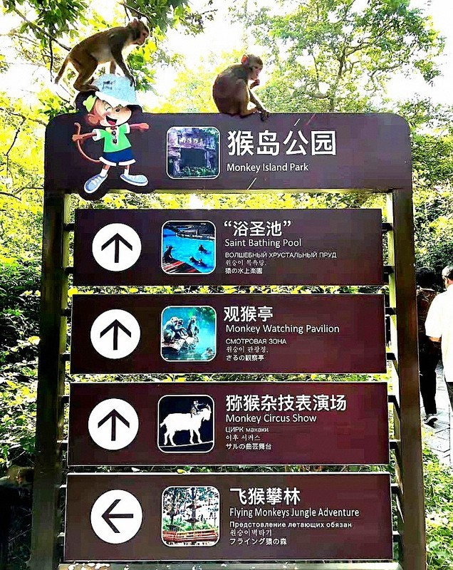 2094--36【不老松：纪实摄影】《山河锦绣》南国风情：海南陵水南湾猴岛！