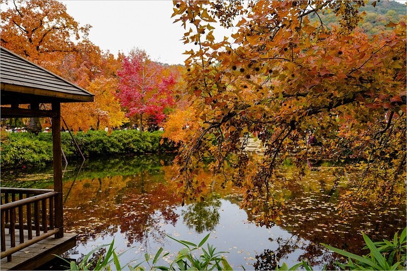 2025年第0900贴-苏州天平山红枫季纪实旅拍（1227）