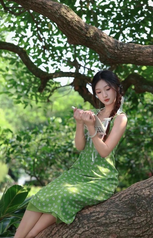 烈士公园歪脖子树