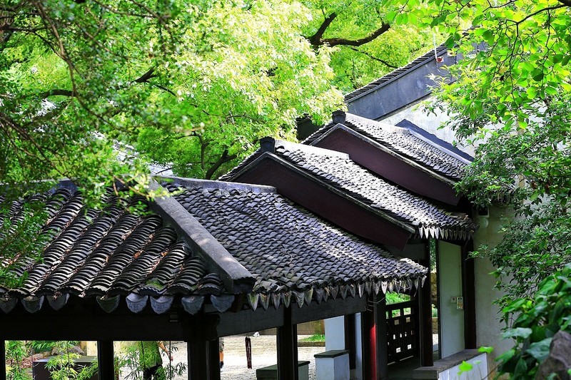 小景随拍（9）
