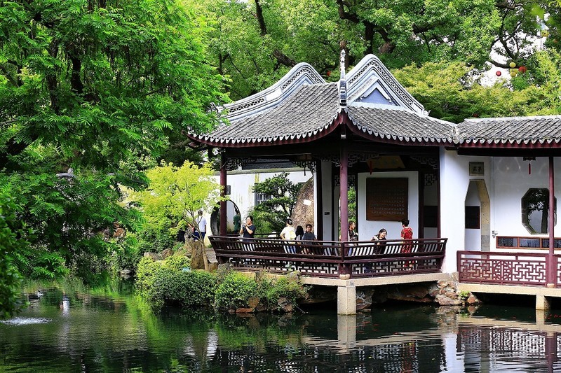 小景随拍（9）