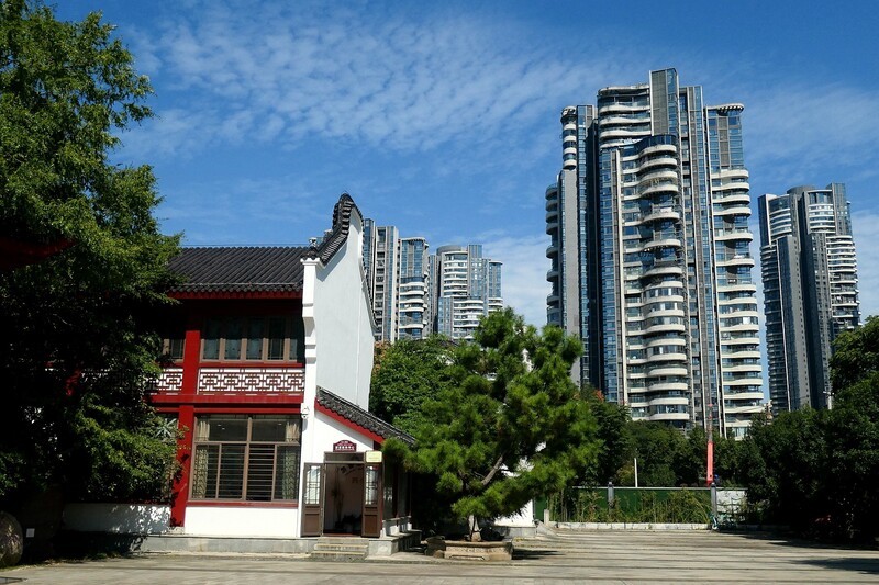 沙湖公园一