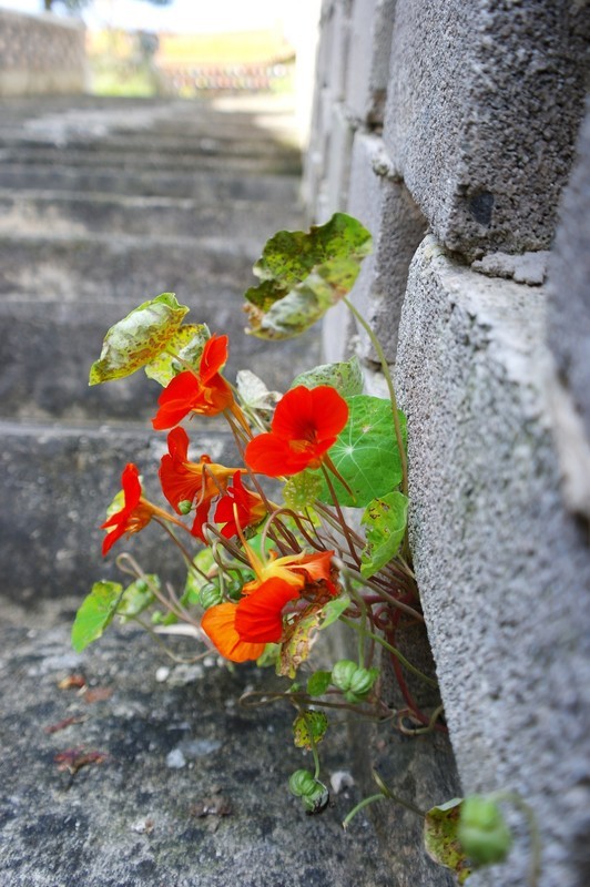 老相机直出（陆）