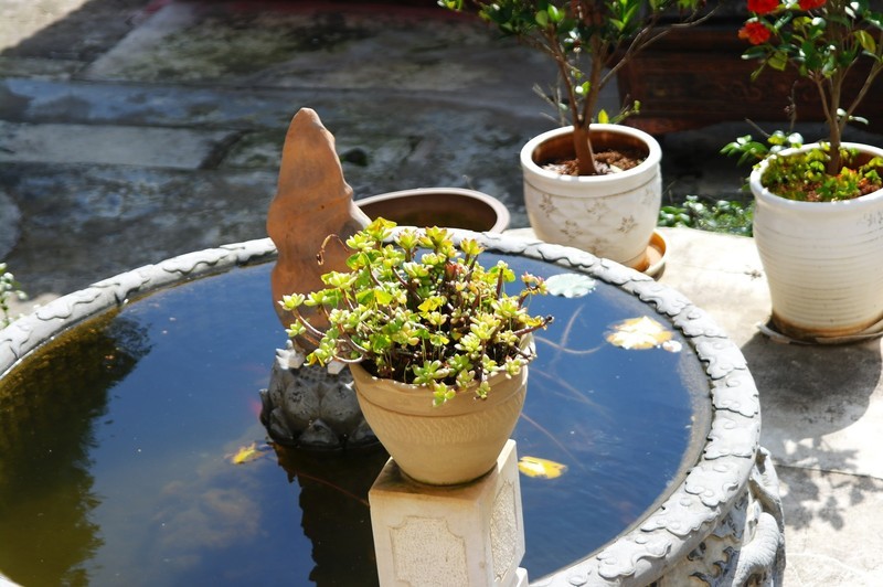 老相机直出（柒）