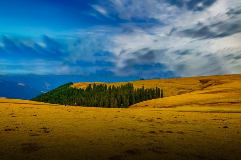 新疆喀拉峻草原 19
