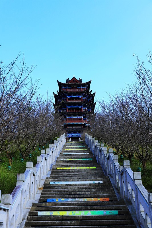 泰顺风光 (2)