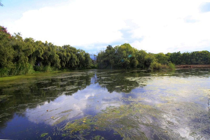 昆明大观公园掠影（一）