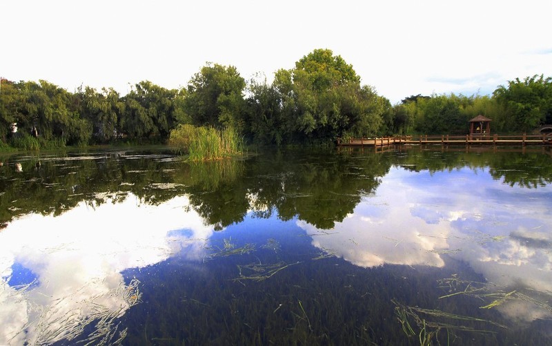 昆明大观公园掠影（一）