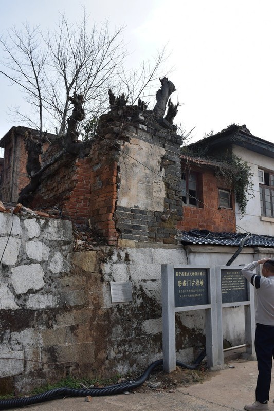 2026春节皖浙赣（26）九江市湖床千眼桥