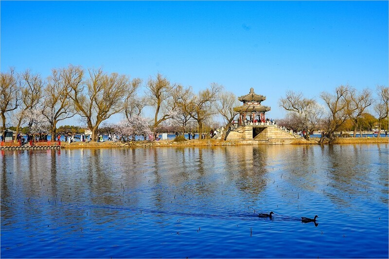 2026年第0220贴 - 颐和园西堤桃花纪实（0402）