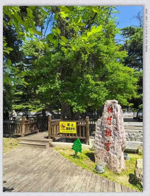 珍珠泉【丙午年-200】