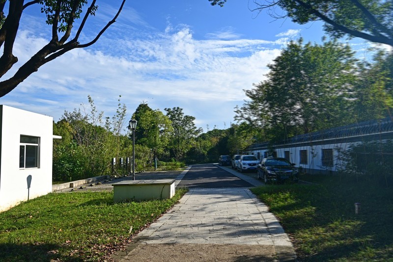 湿地游拍（续）