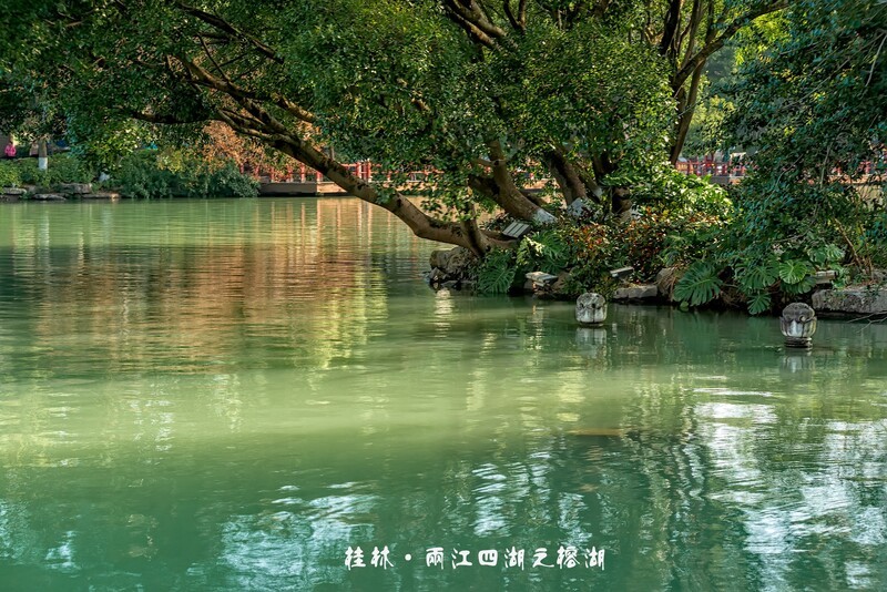 桂林 · 两江四湖之榕湖