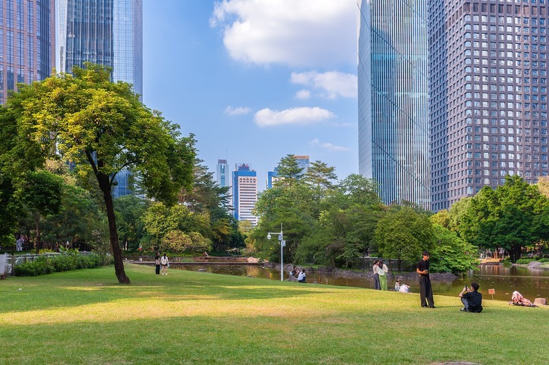 公园里的风景
