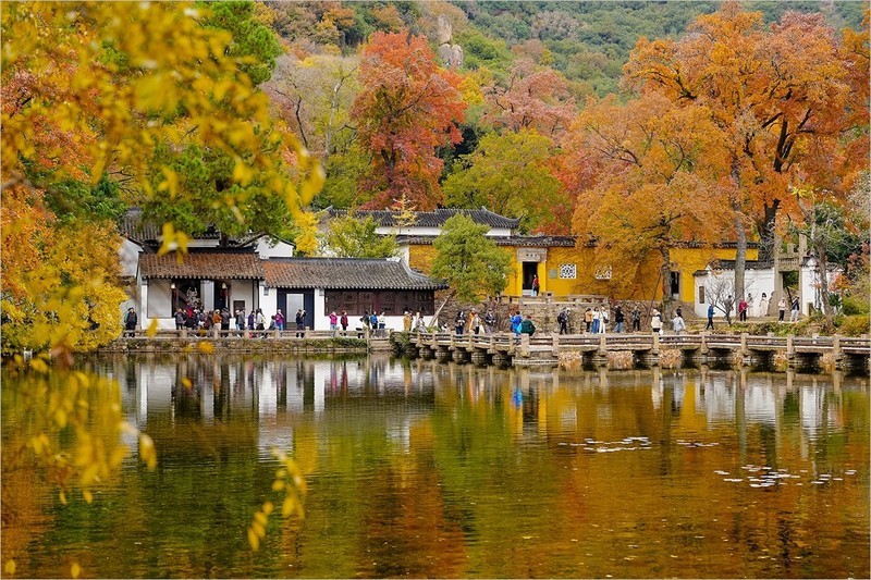 2025年第0912贴-苏州天平山红枫季旅拍（1231）