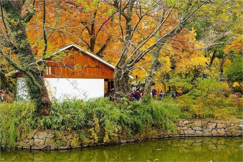 2025年第0912贴-苏州天平山红枫季旅拍（1231）