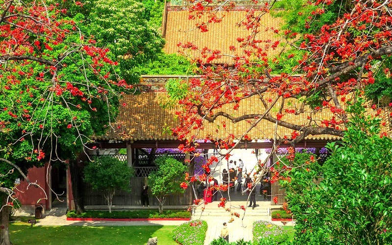 [26106] 俯拍农讲所