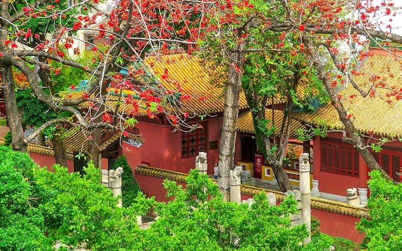 [26106] 俯拍农讲所