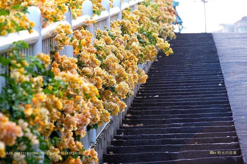 花城廣州之 天橋（三）