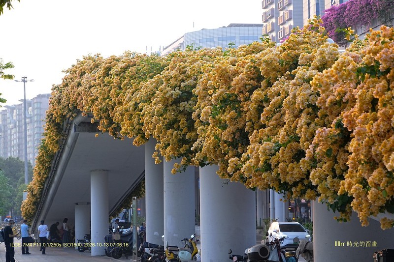 花城廣州之 天橋（三）