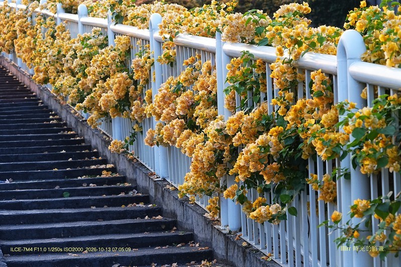 花城廣州之 天橋（三）