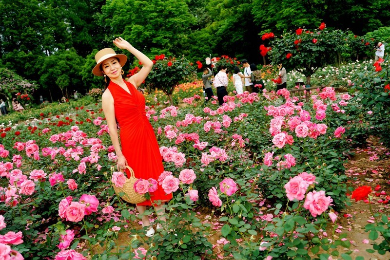 环境人像---花园里的佳丽！