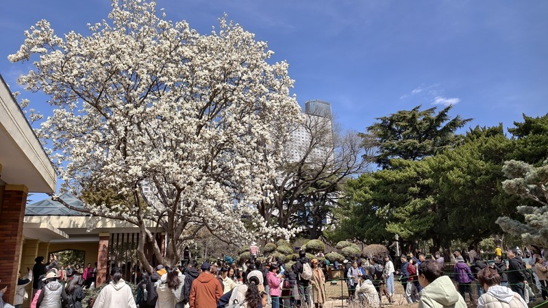 春 天 的 脚 步 （宾得100-300老头手动拍摄）