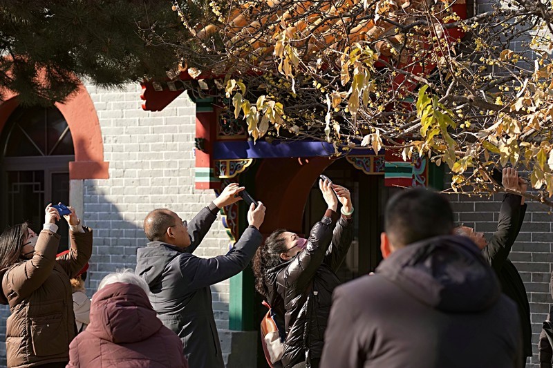 2026第一帖  走进鹿泉十方院