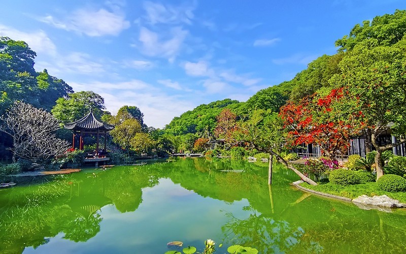 [26002] 云溪植物园