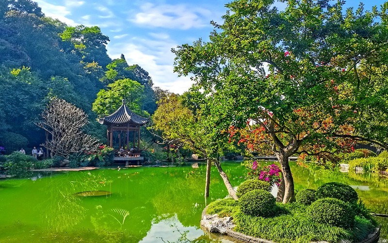 [26002] 云溪植物园