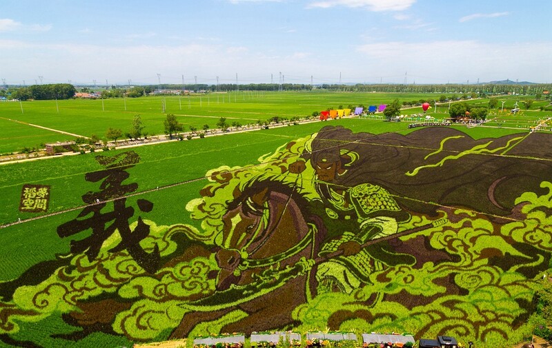 沈北稻梦空间