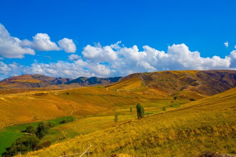 新疆喀拉峻草原 21