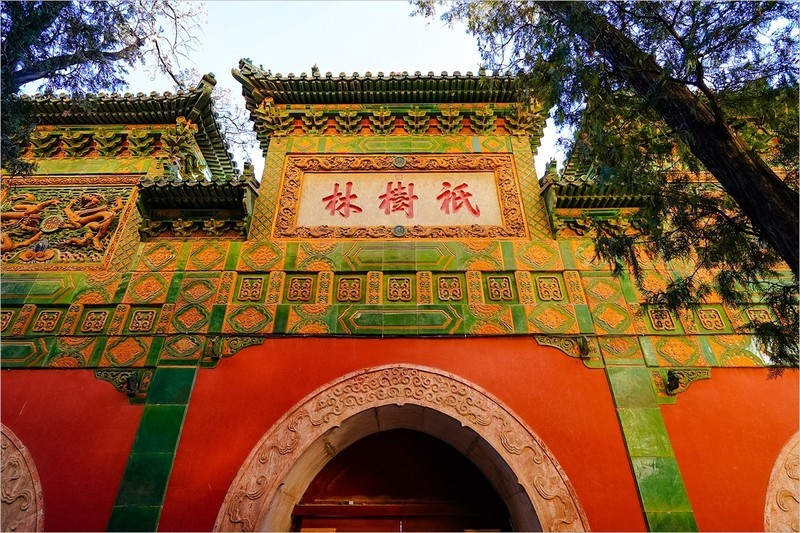 2026年第0004贴-颐和园风光纪实旅拍（0102）